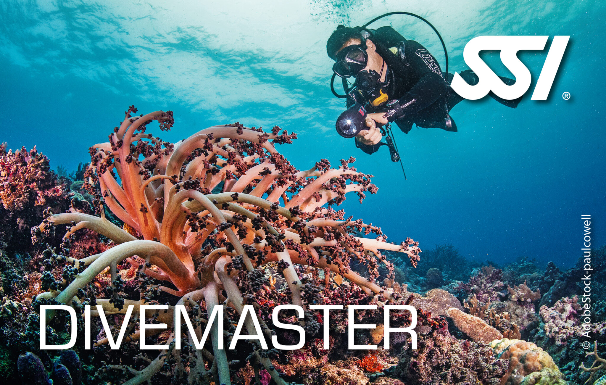 Dive Guide PRO
