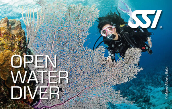Basic Diver