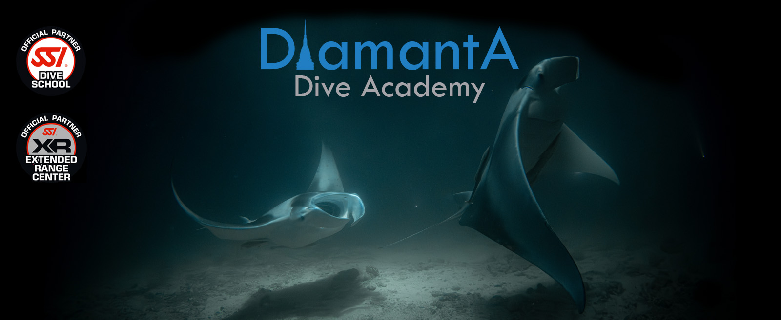 Subacqueo in immersione - Diamanta Dive Academy